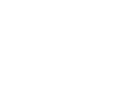 Arista